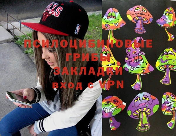 ПСИЛОЦИБИНОВЫЕ ГРИБЫ Дмитров