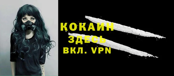 ПСИЛОЦИБИНОВЫЕ ГРИБЫ Дмитров