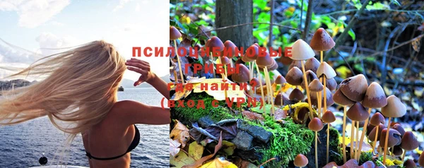 героин Дмитриев