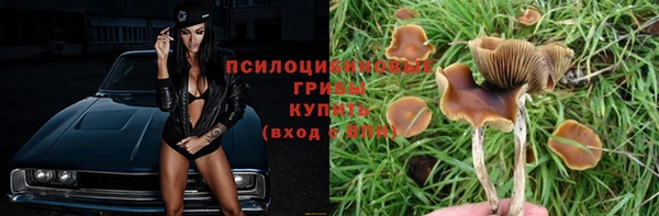 ПСИЛОЦИБИНОВЫЕ ГРИБЫ Дмитров