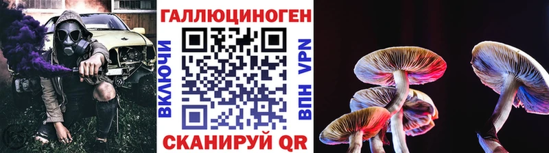 магазин    Артём  Псилоцибиновые грибы Psilocybe 
